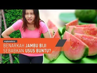 Benarkah Jambu Biji Sebabkan Usus Buntu?
