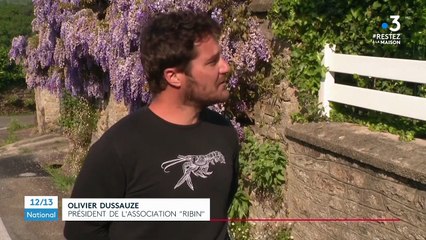 Finistère : un triporteur sillonne Douarnenez pour livrer des plats et rompre la solitude