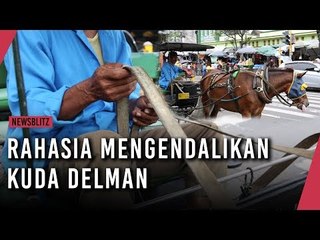 Rahasia Kusir Mengendalikan Kuda Delman