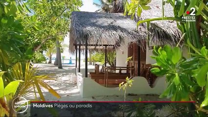 Confinement : une Française coincée sur une île des Maldives avec ses salariés