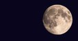 La dernière super Lune de l'année illuminera le ciel dans la nuit du 7 au 8 mai