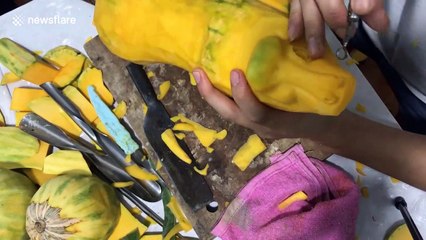 Vietnamese sculptor creates a buffalo from pumpkins like a pro