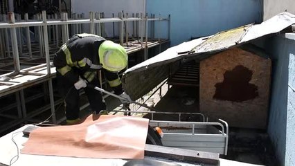 Manisa itfaiyesinin "sokak hayvanları" mesaisi