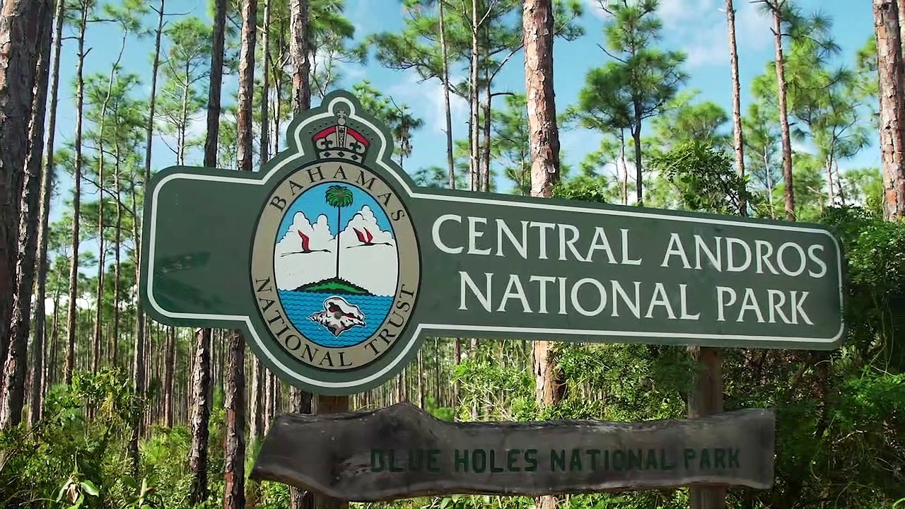 Andros: Bonefish Central