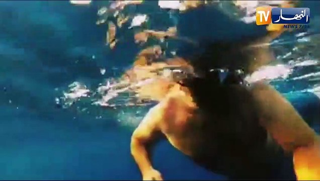 النهار ترندينغ / دلافين في السواحل الجزائرية تصنع الحدث