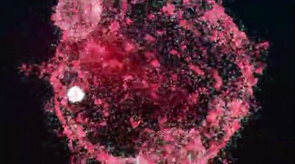 Close Up Influenza Virus In Blood Vessel