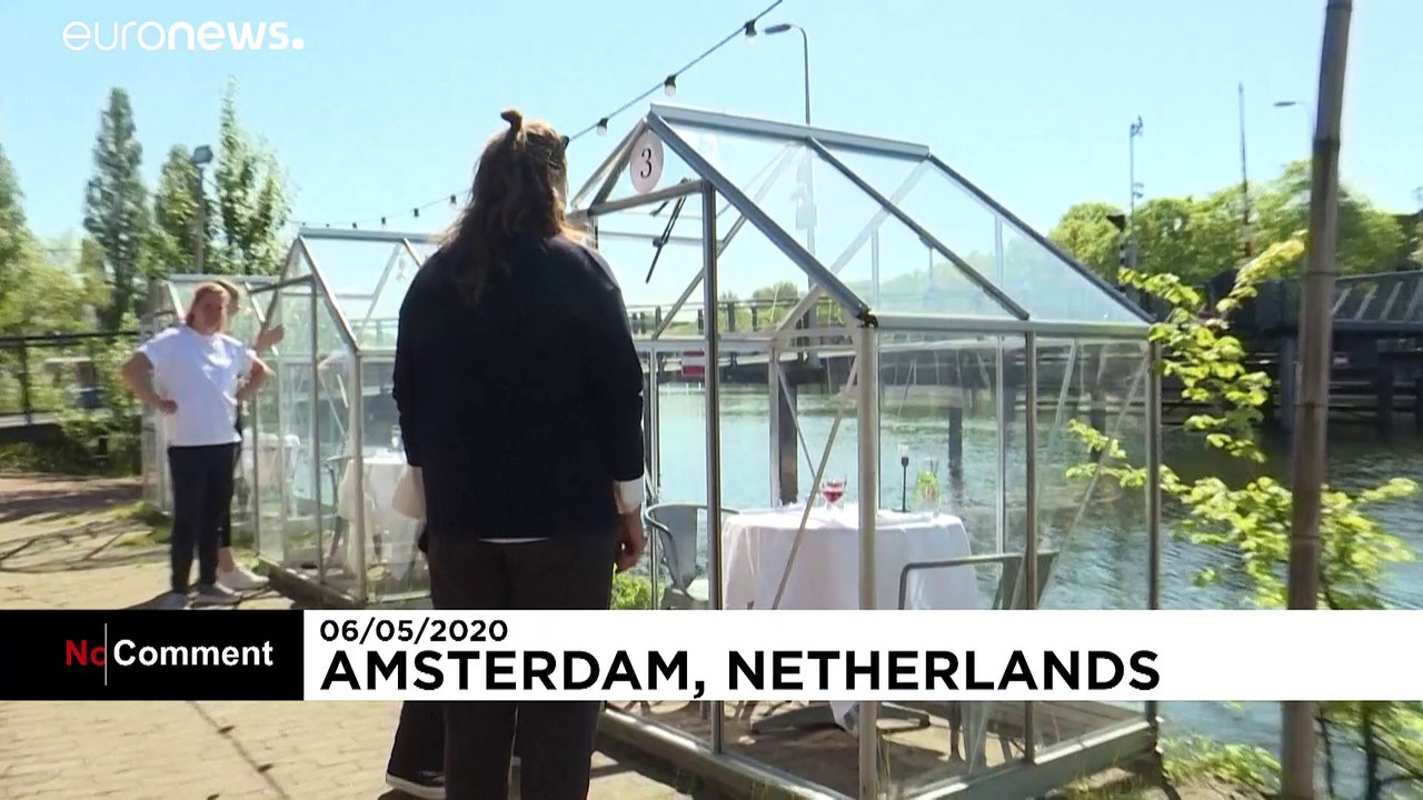 На обед в теплицу