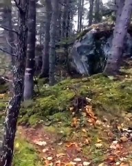 Korkunç görüntü: Endonezya'da deprem anı