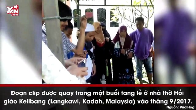 Khoảnh khắc chú mèo nằm lì bên mộ của người chủ quá cố khiến CĐM không khỏi xót xa