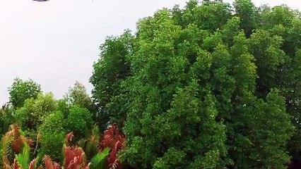 Top 5 điểm đến thú vị mà bạn không nên chối từ khi đến với mảnh đất cuối trời - Cà Mau