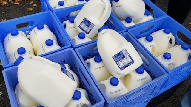 Kroger Launches “Dairy Rescue Program” For Farmers