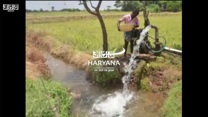 धान बोना छोड़ो 7000 रूपये प्रति एकड़ ले लो। हरियाणा सरकार ने और क्या क्या क्या किए एलान