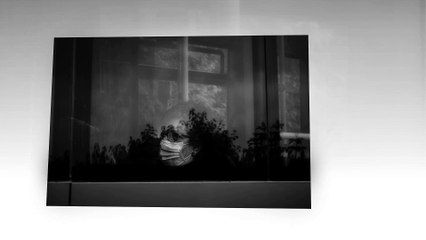 Vagueando Pelas Ruas Da Cidade Berço