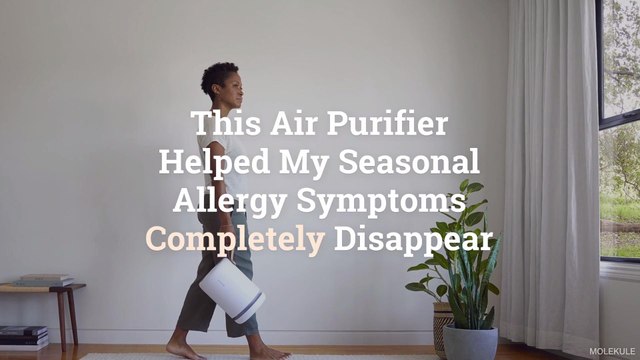 This Air Purifier Helped My Seasonal Allergy Symptoms Completely Disappear