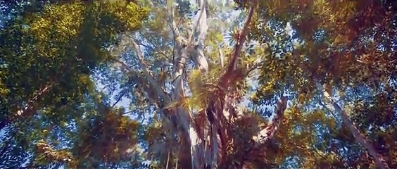 NEWAY MUSIC - Mi Alma te Bendice / En tu Presencia (Medley Adoración Cover)