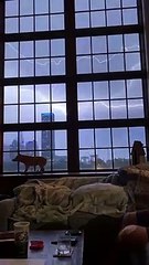 Il filme la foudre depuis son magnifique salon et c'est incroyable