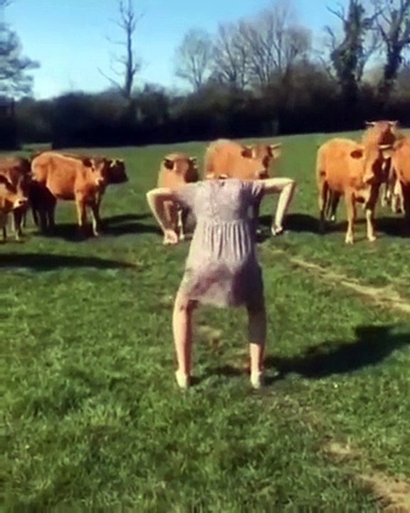 Le défi "danse" qui fait peur aux animaux à tous les coups