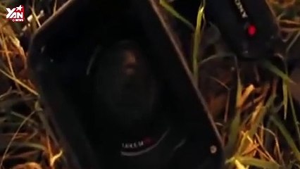 kinh hoàng hơn cả rừng hoang Amazon