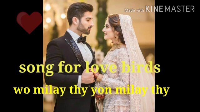 Song for Love Bird's wo mily thy youn mily thy share with your love ones . Watch and share with your love ones