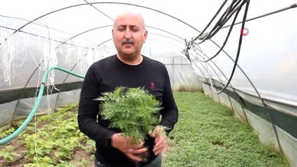 65 yaş üzeri vatandaşın bahçe bakımını belediye ekipleri yapacak