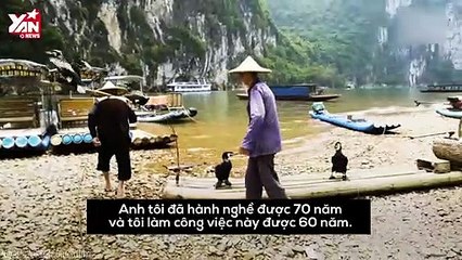 Lão ông 80 tuổi trải lòng về nghề huấn luyện chim đánh cá thất truyền