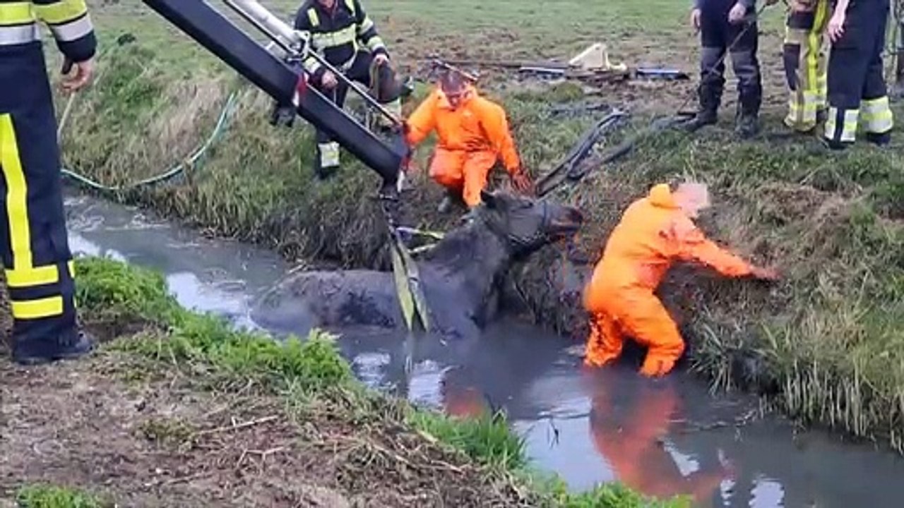 çekiciyle at kurtarma
