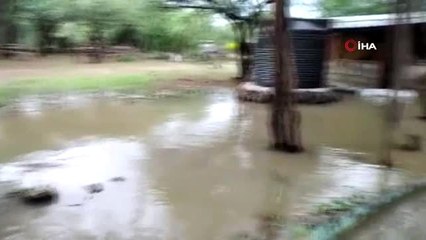 - Kenya'da sel felaketi: 194 ölü