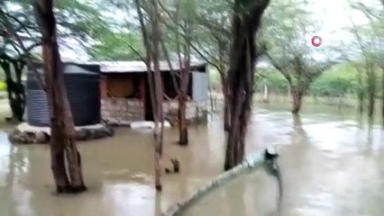 - Kenya'da sel felaketi: 194 ölü