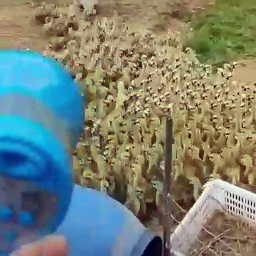 dab26d61-fd59-4709-a950-d43e0f011f95