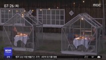 [이 시각 세계] '1.5m 거리 유지' 네덜란드 이색 식당