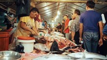 Big fish market in Philippine- amazing big sea fish