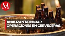 Secretaría de Agricultura negocia reinicio de operación con industria cervecera