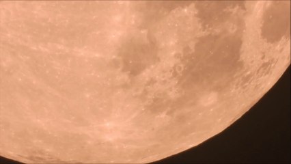 1000mm vs 2000 vs 3000 vs 6000mm with Nikon P1000