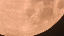 1000mm vs 2000 vs 3000 vs 6000mm with Nikon P1000