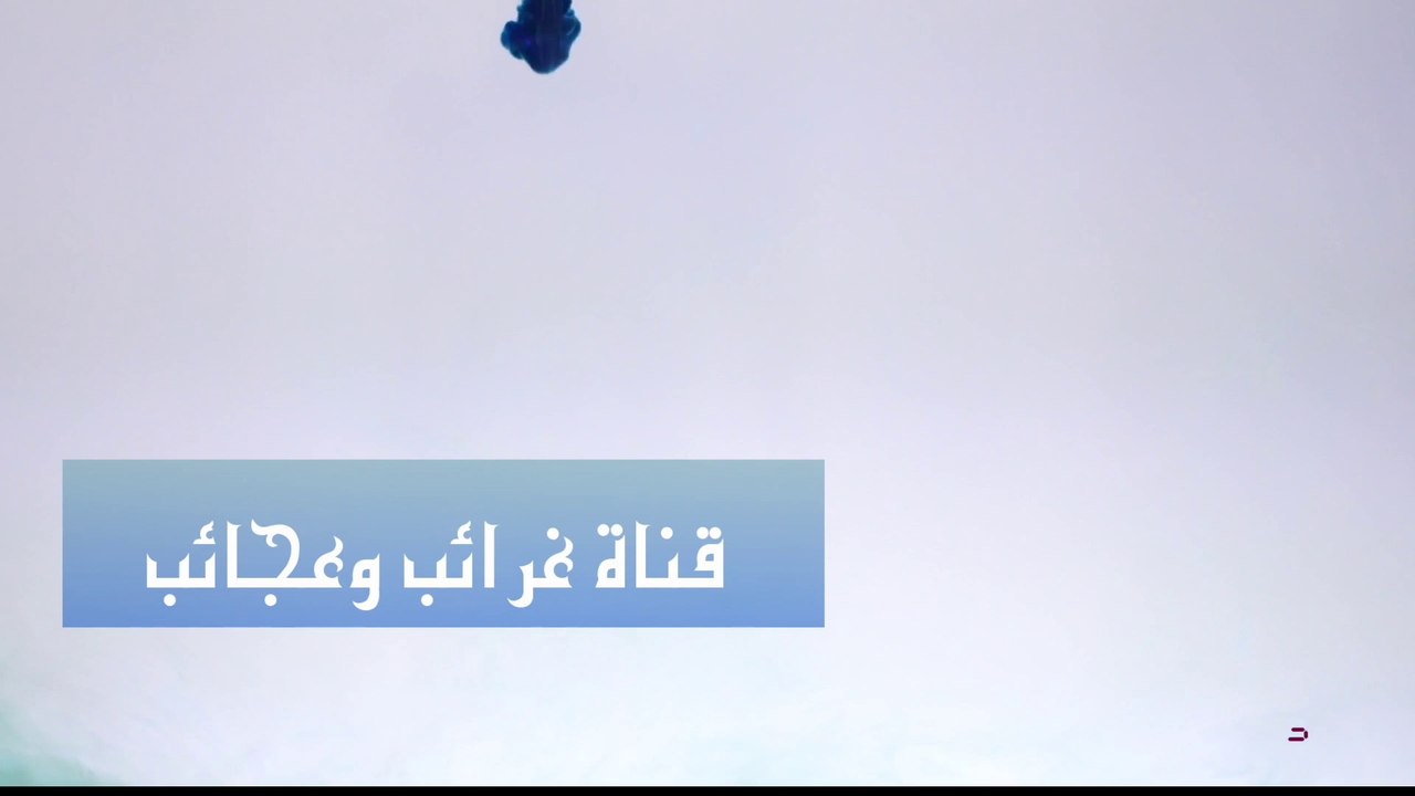 طرائف كورونا....اغرب الاشياء  على وجه الارض  حدثت في ظل تفشي وباء كورونا_Full-HD