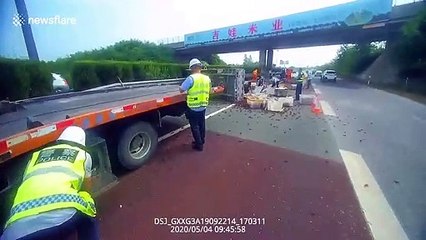 Chinese expressway littered with 1,000kg of crayfish after truck rolls over