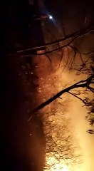 VIDEO : विजयपुर तहसील का मामला, मवेशी भी जले, 50 घर चपेट में आए