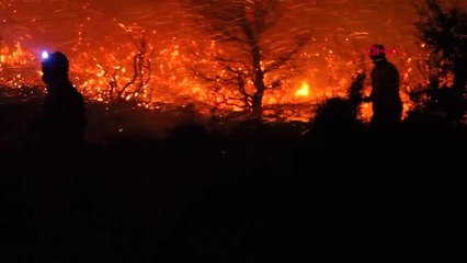 İzmir'de orman yangınlarına karşı hazırlıklar tamam