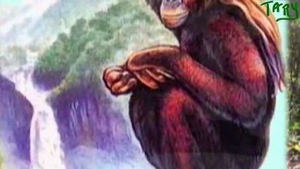 Top 10 Criaturas Misteriosas