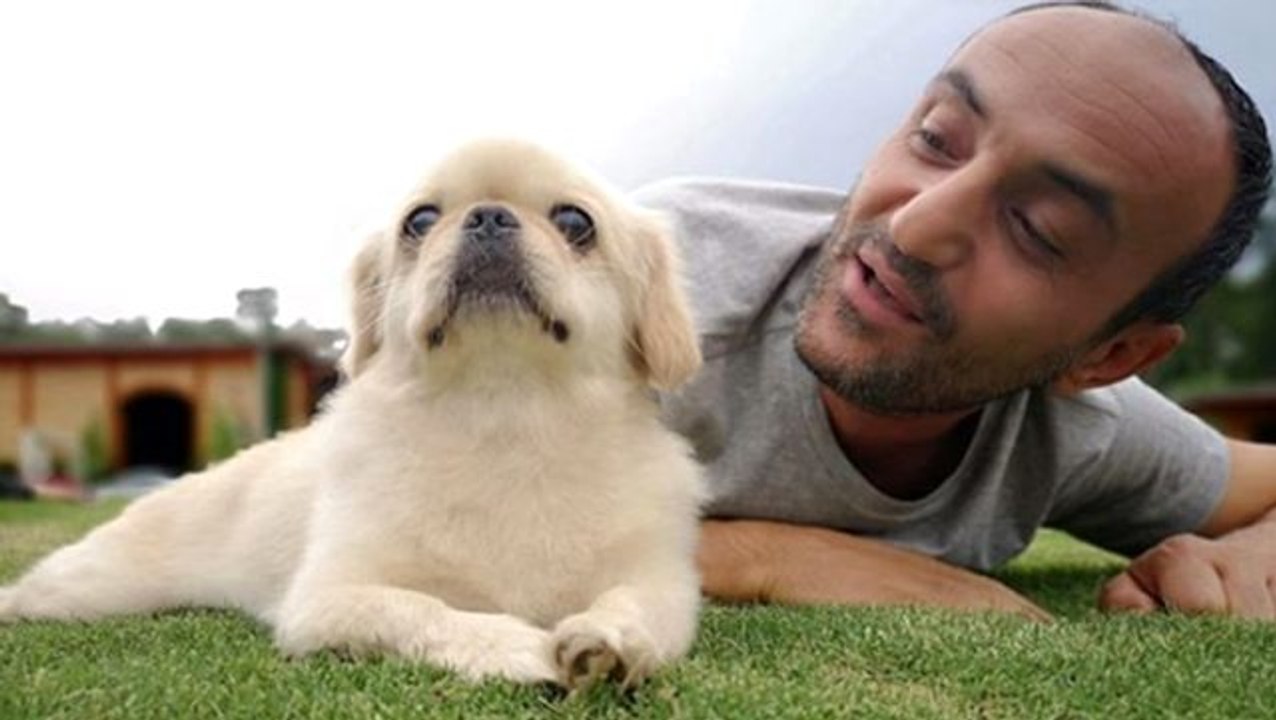 Köpeğinin öldüğünü bilmeyen Ersin Korkut'un sözleri duygulandırdı: Köpeğimi merak ediyorum acaba beni tanıyacak mı?