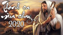 Nhạc Thánh Ca Mùa Chay 2020 - Tuyển Chọn Thánh Ca Mùa Chay Hay Nhất Nghe Cảm Động Lòng Người