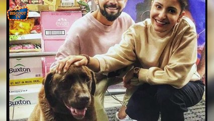 Shocking ! Virat And Anushka ,What just Happend ?? | Virat and Anushka News | BiscootTv