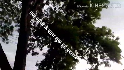 तेज हवाओं के साथ हुई बारिश से फसलों को नुकसान, किसानों के हाल बेहाल