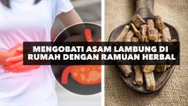 Mengobati Asam Lambung di Rumah dengan Ramuan Herbal