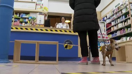 Se harán test rápidos a los farmacéuticos de Madrid
