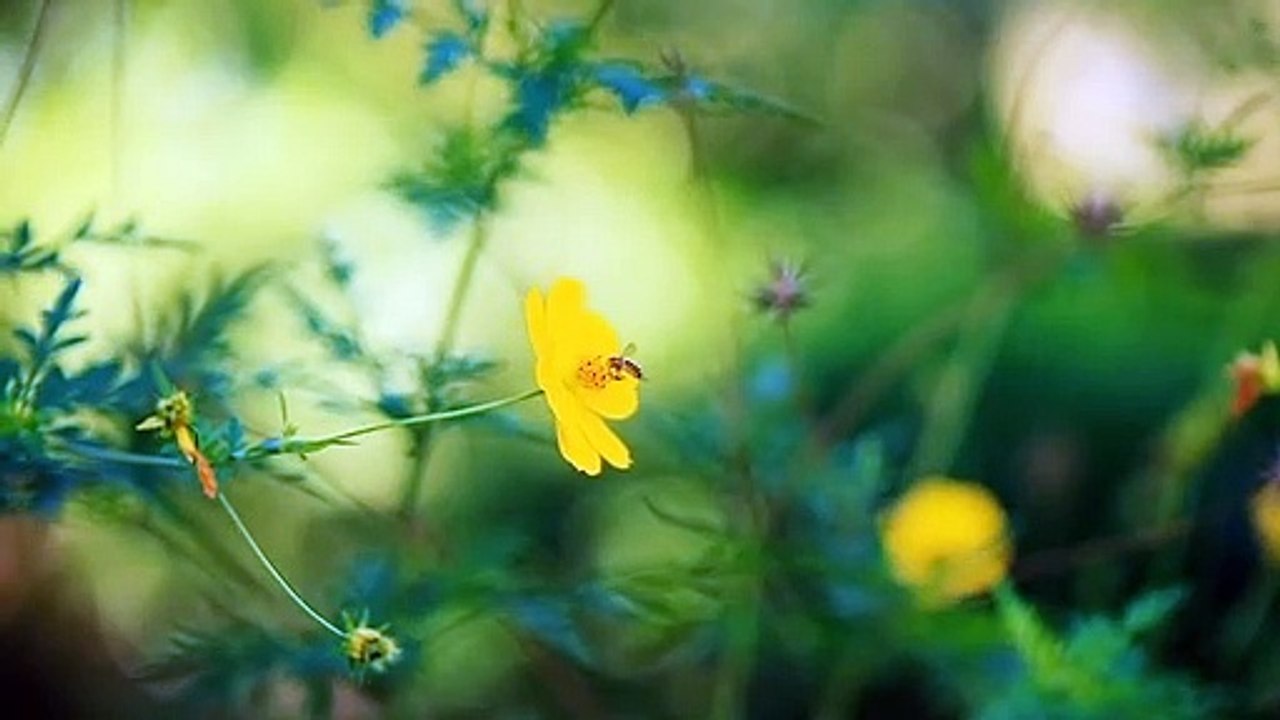 Nature real beauty