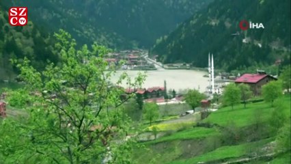 Turizm merkezi Uzungöl yaban hayvanlarına kaldı