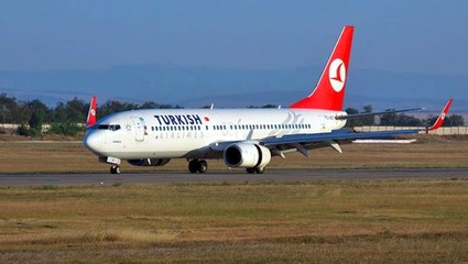 THY, koronavirüs riski taşıyan bazı hayvanların yolcu beraberinde veya kargo ile Türkiye'ye girişini yasakladı