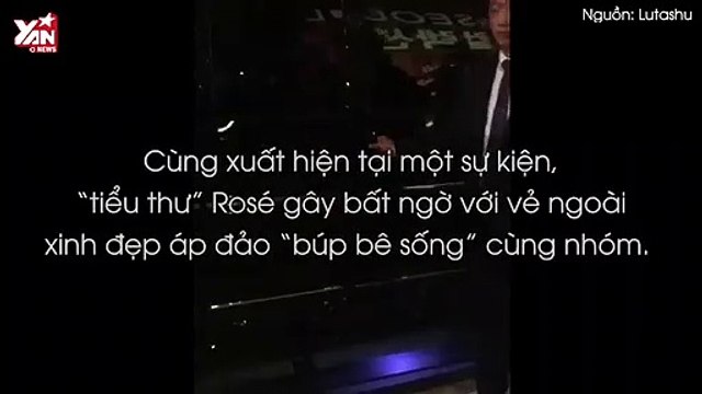 Cùng xuất hiện tại một sự kiện, “tiểu thư” Rosé gây bất ngờ với vẻ ngoài xinh đẹp áp đảo “búp bê sống” cùng nhóm.
