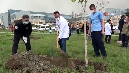 Hastane bahçesindeki fidanlar nefes olacak